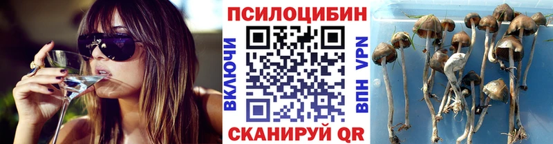 Псилоцибиновые грибы мухоморы Усолье-Сибирское
